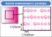 Mimaki, ���������� ��������, ������