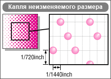 Mimaki, ���������� ��������, ������
